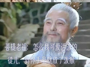 《齐天大圣：师父有妖气，属性缘分总览揭秘》