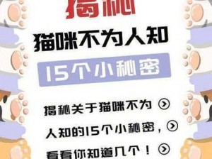 暗黑爆料视频、暗黑爆料视频：揭秘不为人知的秘密