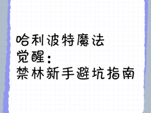 哈利波特魔法觉醒日常指南：揭秘需要注意的事项与细节