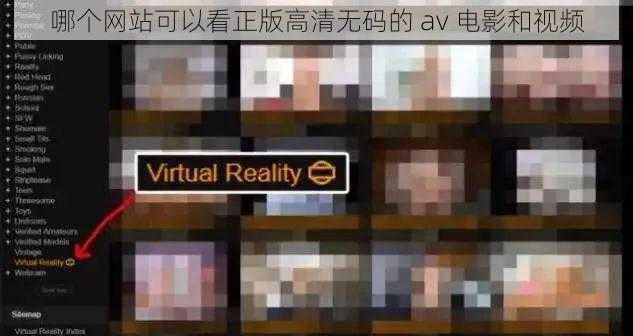 哪个网站可以看正版高清无码的 av 电影和视频