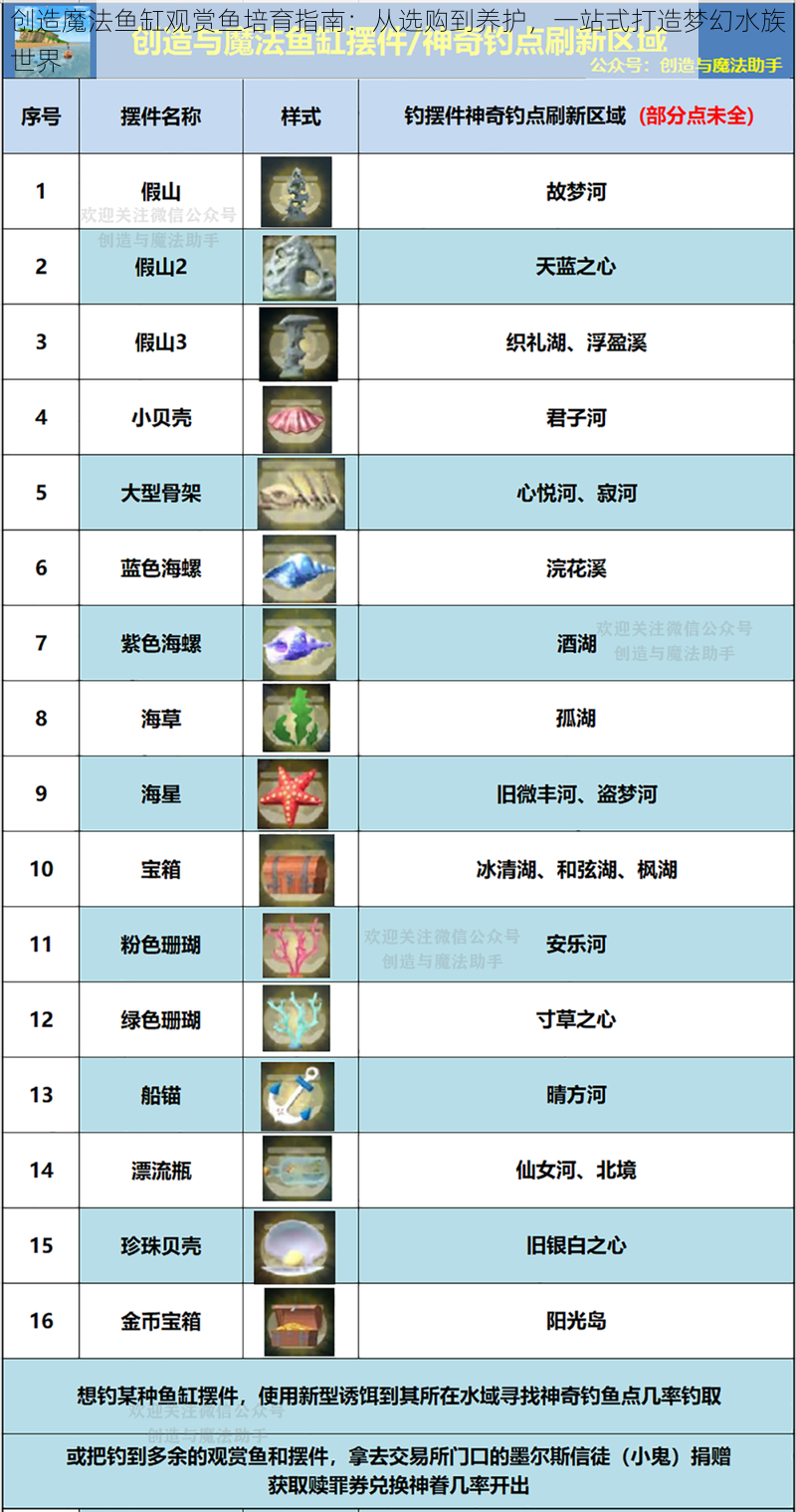 创造魔法鱼缸观赏鱼培育指南：从选购到养护，一站式打造梦幻水族世界