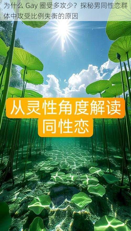 为什么 Gay 圈受多攻少？探秘男同性恋群体中攻受比例失衡的原因