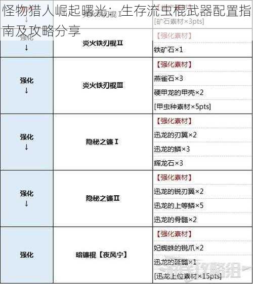 怪物猎人崛起曙光：生存流虫棍武器配置指南及攻略分享