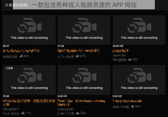 一款包含各种成人视频资源的 APP 网站