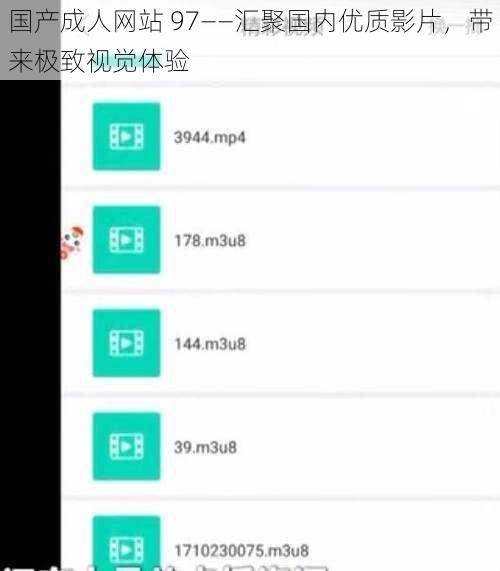 国产成人网站 97——汇聚国内优质影片，带来极致视觉体验
