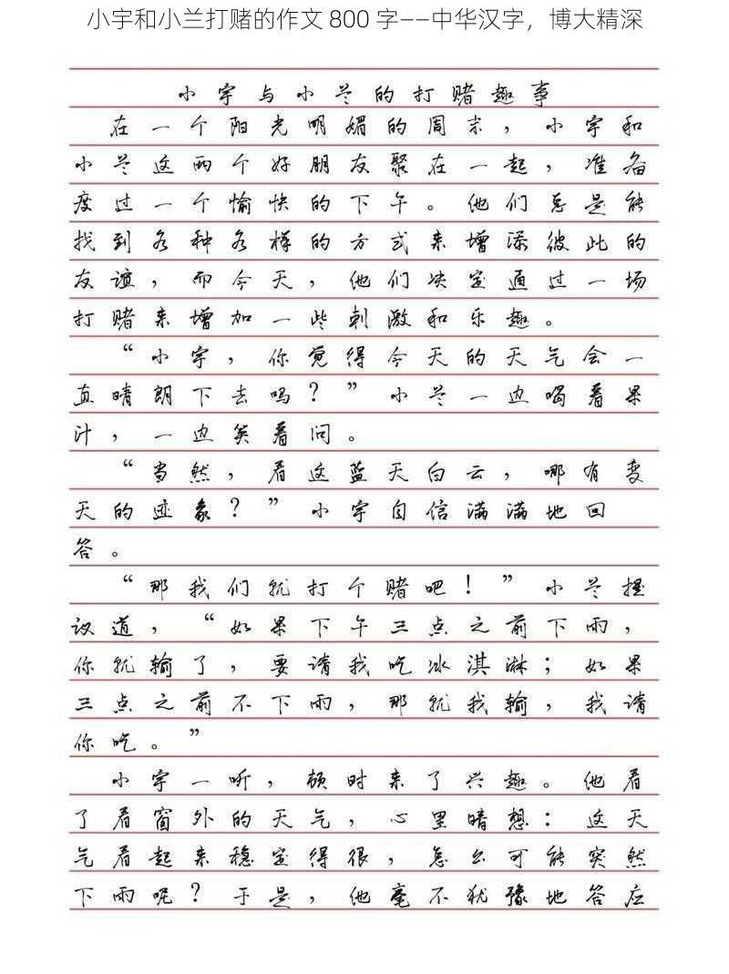 小宇和小兰打赌的作文 800 字——中华汉字，博大精深