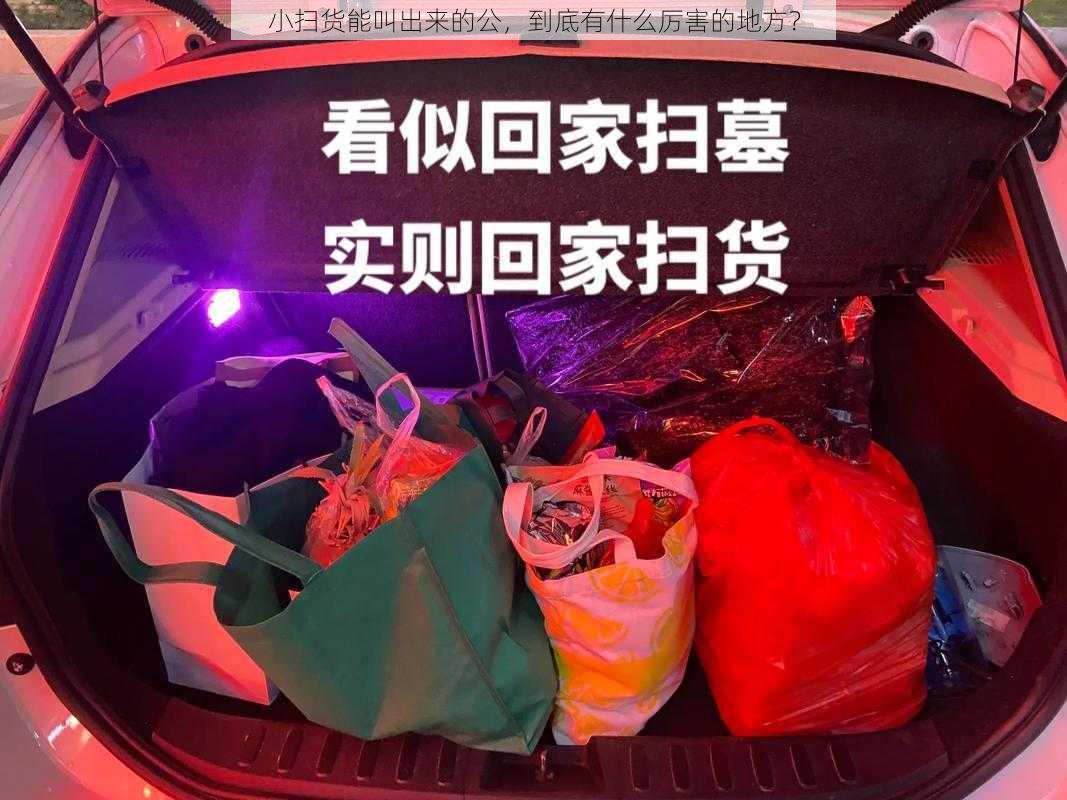 小扫货能叫出来的公，到底有什么厉害的地方？