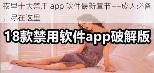 夜里十大禁用 app 软件最新章节——成人必备，尽在这里