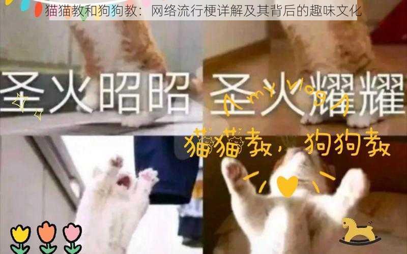 猫猫教和狗狗教：网络流行梗详解及其背后的趣味文化