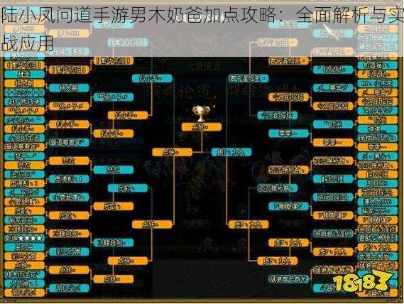 陆小凤问道手游男木奶爸加点攻略：全面解析与实战应用