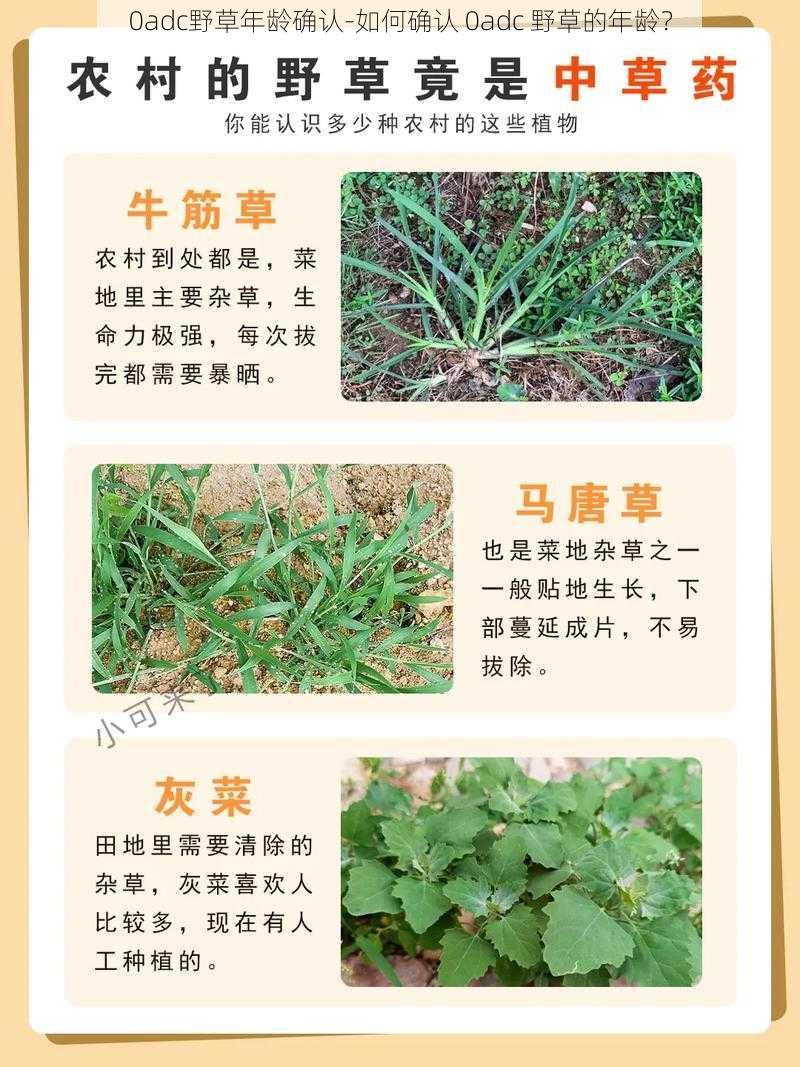 0adc野草年龄确认-如何确认 0adc 野草的年龄？