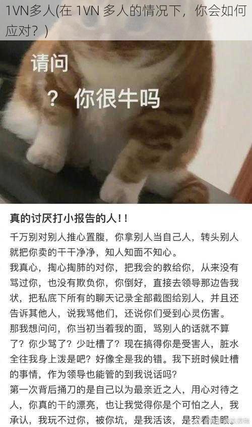 1VN多人(在 1VN 多人的情况下，你会如何应对？)