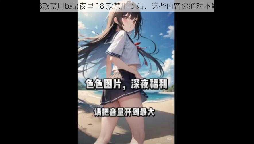 夜里18款禁用b站(夜里 18 款禁用 b 站，这些内容你绝对不能错过)