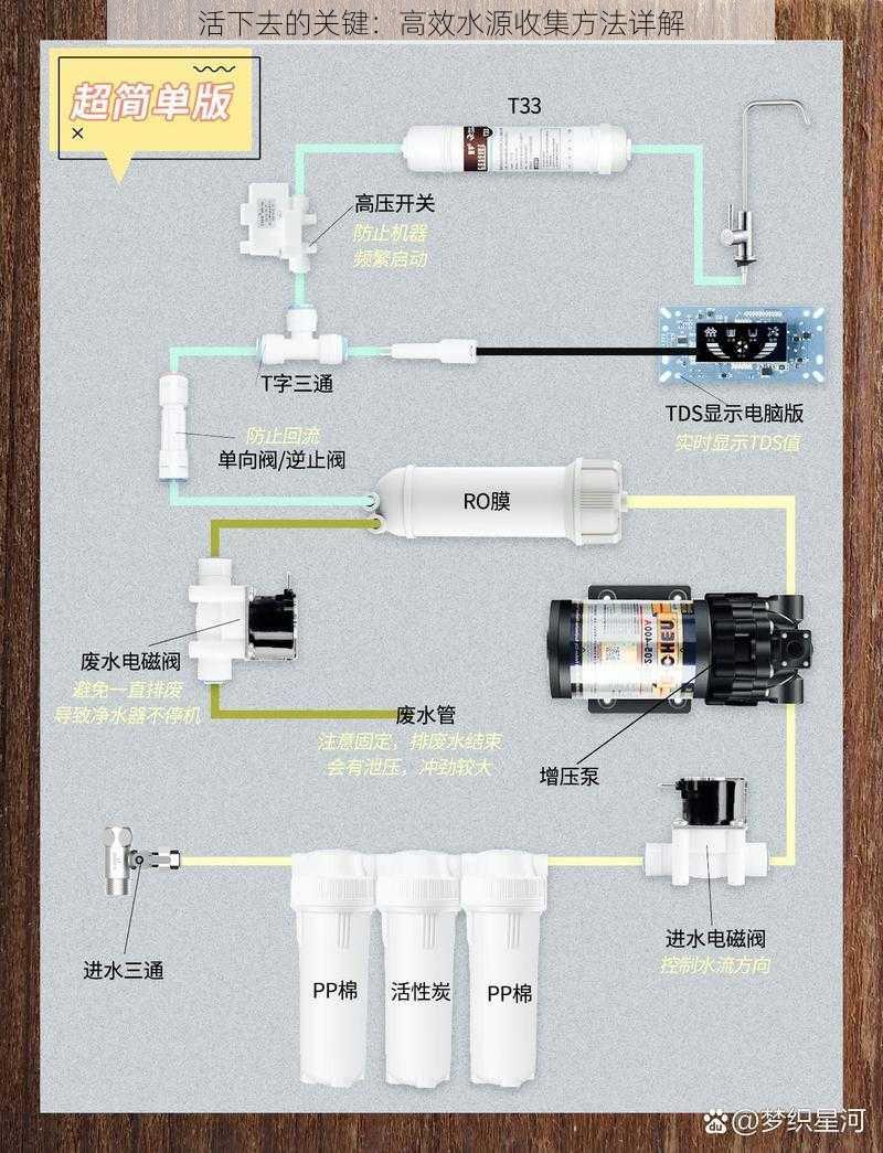 活下去的关键：高效水源收集方法详解