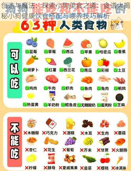 创造与魔法：探索小狗美食之道：食谱大揭秘小狗健康饮食搭配与喂养技巧解析