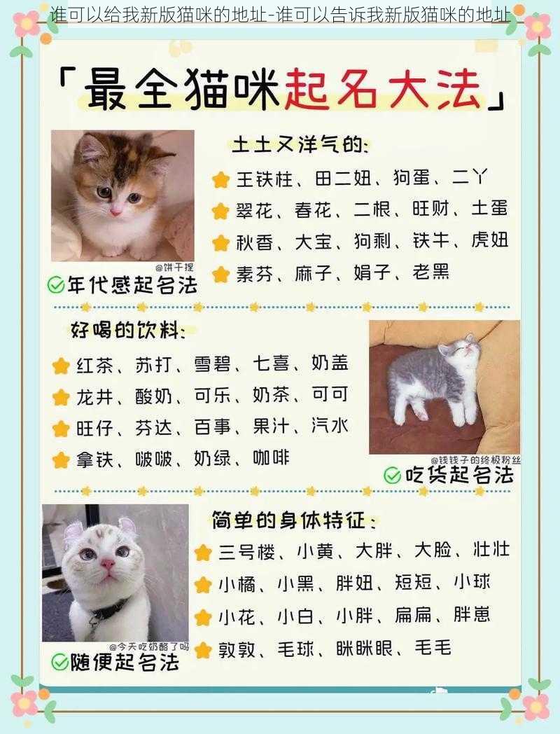 谁可以给我新版猫咪的地址-谁可以告诉我新版猫咪的地址