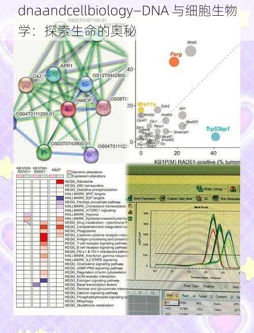 dnaandcellbiology—DNA 与细胞生物学：探索生命的奥秘