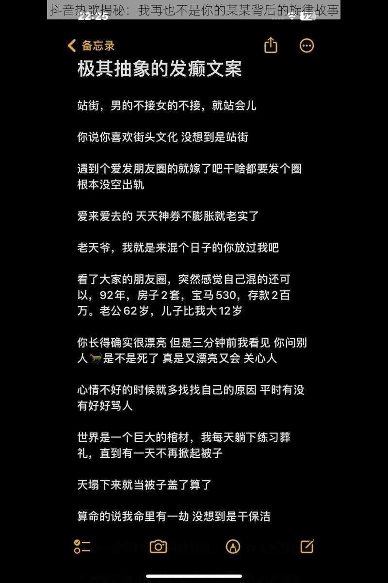 抖音热歌揭秘：我再也不是你的某某背后的旋律故事