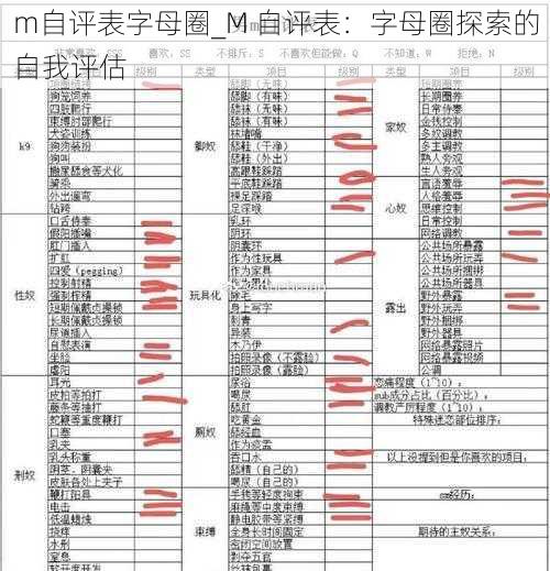 m自评表字母圈_M 自评表：字母圈探索的自我评估