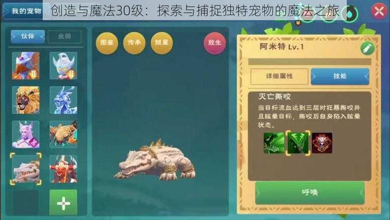 创造与魔法30级：探索与捕捉独特宠物的魔法之旅