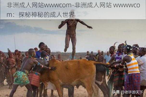 非洲成人网站wwwcom-非洲成人网站 wwwwcom：探秘神秘的成人世界