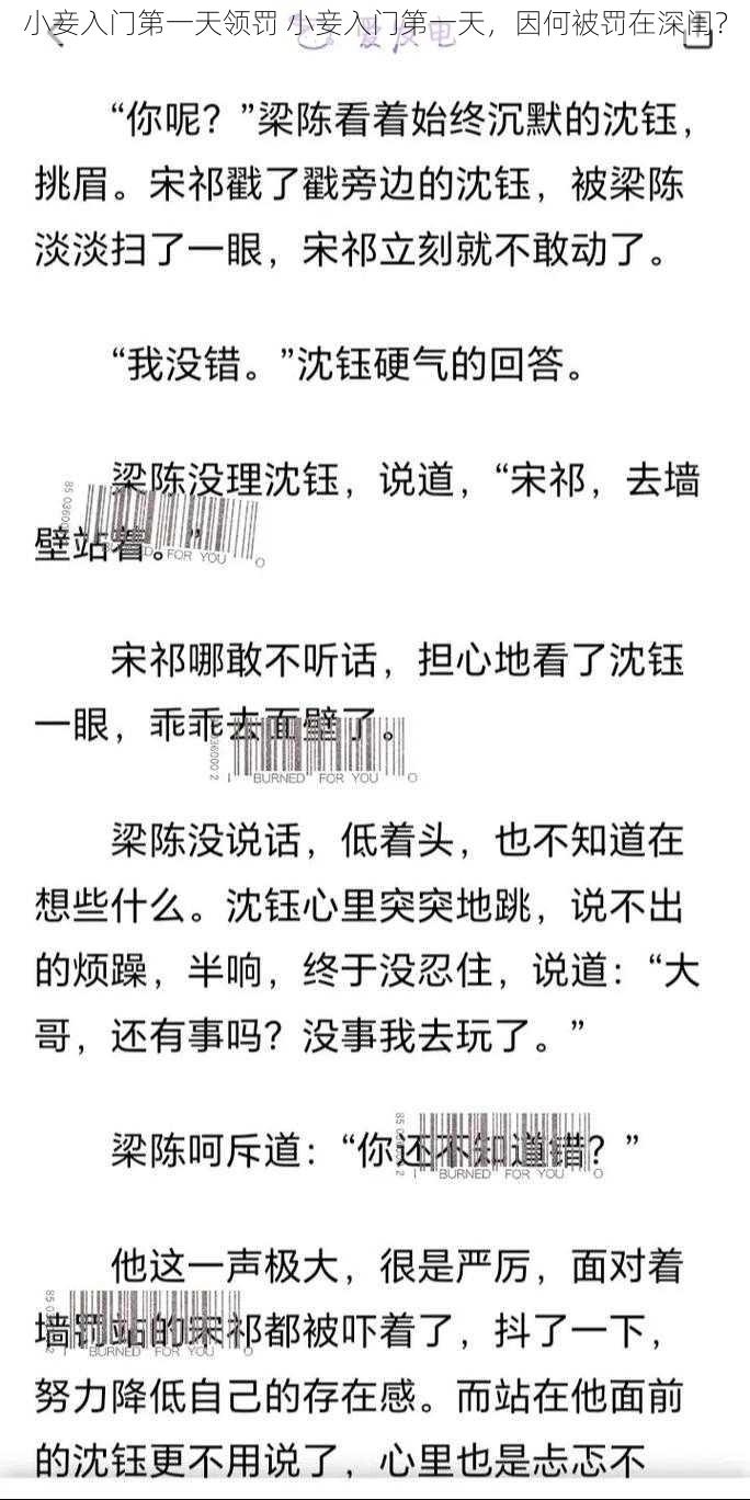 小妾入门第一天领罚 小妾入门第一天，因何被罚在深闺？