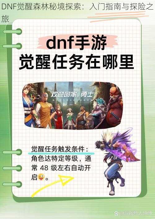 DNF觉醒森林秘境探索：入门指南与探险之旅