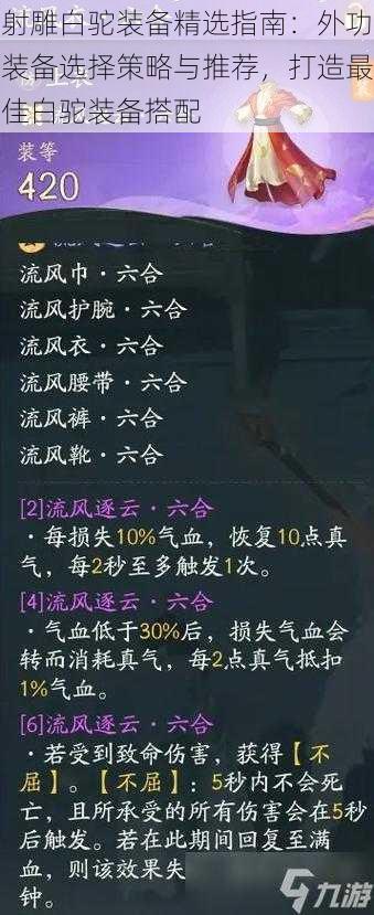 射雕白驼装备精选指南：外功装备选择策略与推荐，打造最佳白驼装备搭配