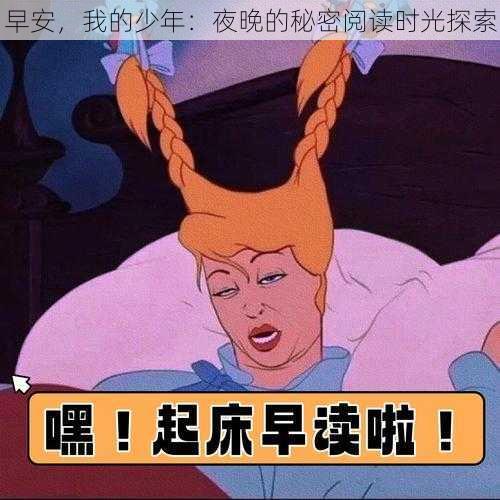 早安，我的少年：夜晚的秘密阅读时光探索