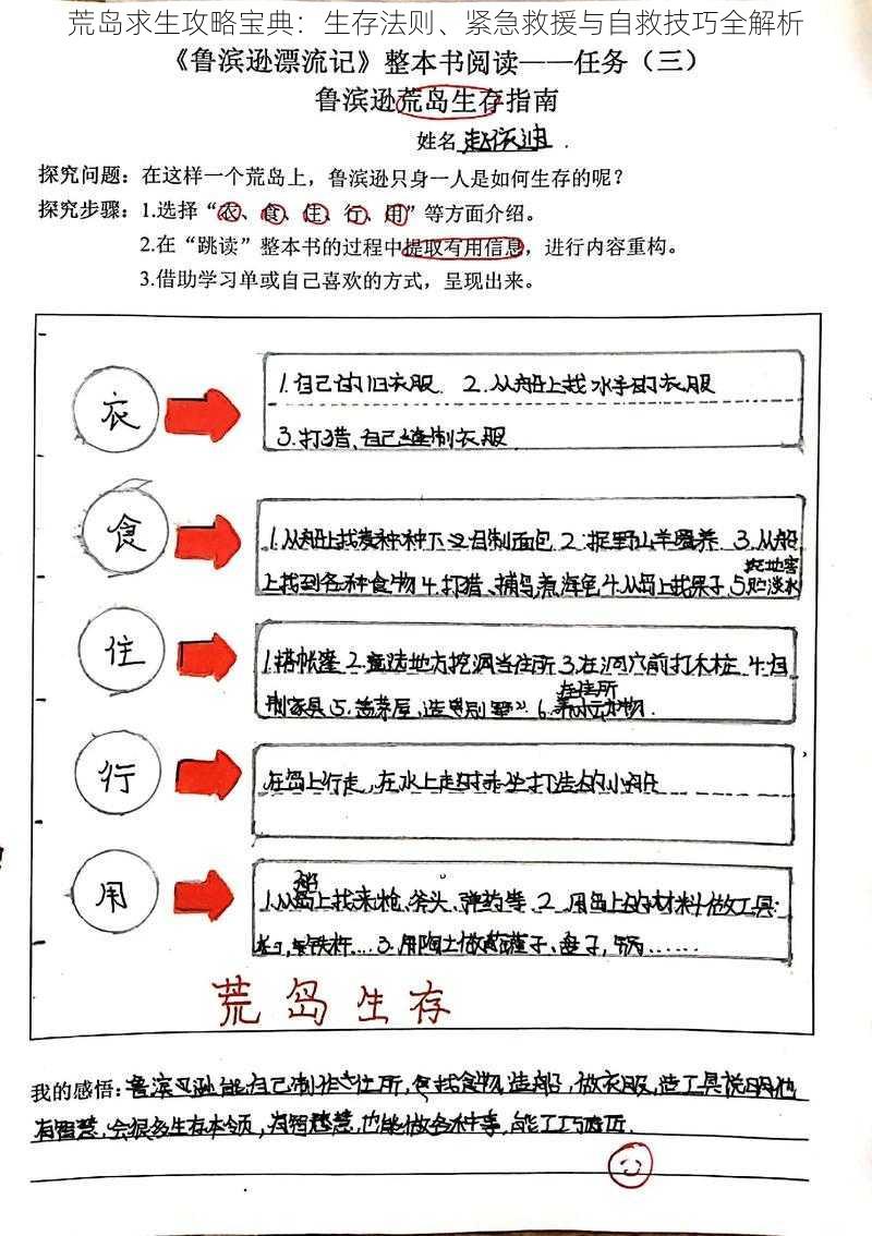 荒岛求生攻略宝典：生存法则、紧急救援与自救技巧全解析