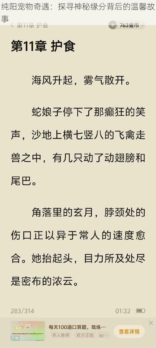 纯阳宠物奇遇：探寻神秘缘分背后的温馨故事