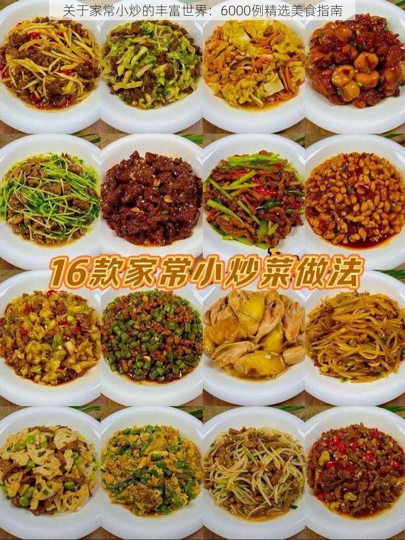 关于家常小炒的丰富世界：6000例精选美食指南