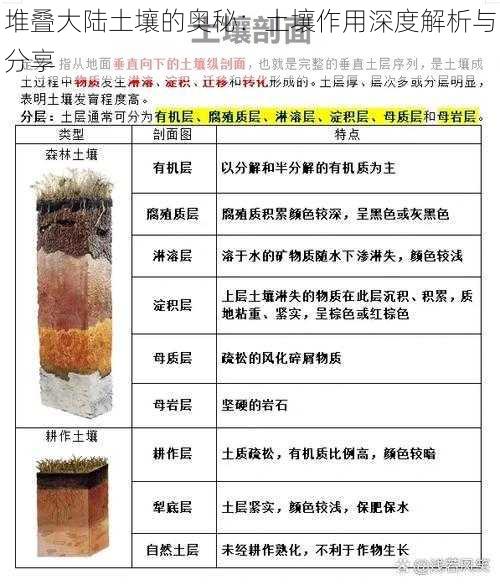 堆叠大陆土壤的奥秘：土壤作用深度解析与分享