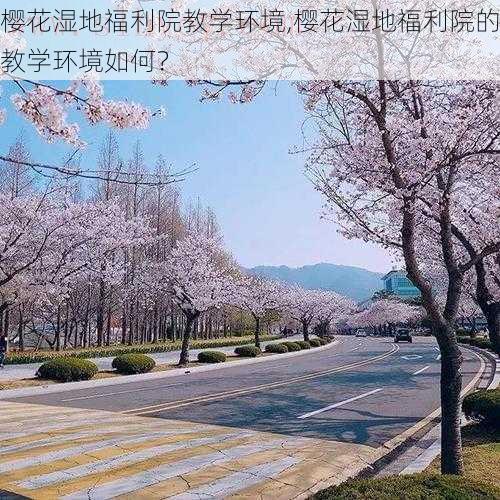 樱花湿地福利院教学环境,樱花湿地福利院的教学环境如何？