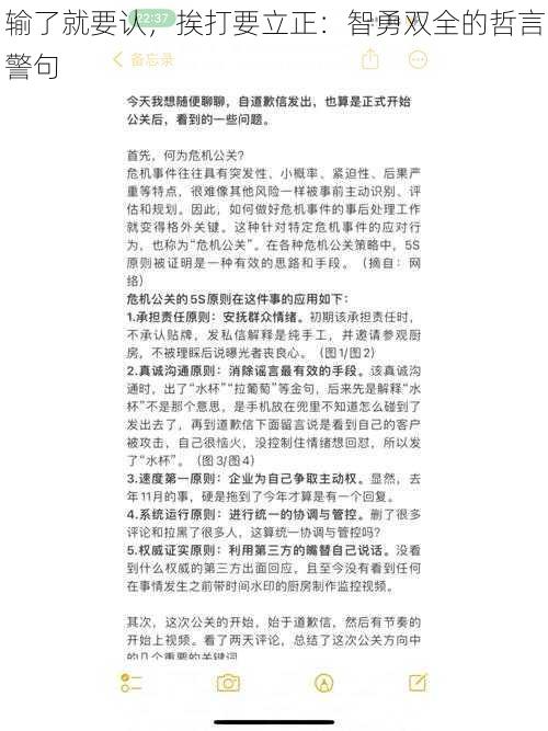 输了就要认，挨打要立正：智勇双全的哲言警句