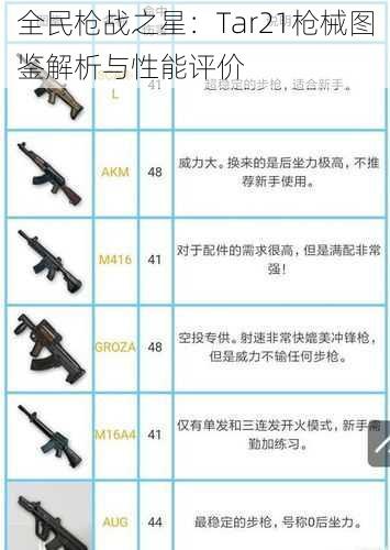 全民枪战之星：Tar21枪械图鉴解析与性能评价