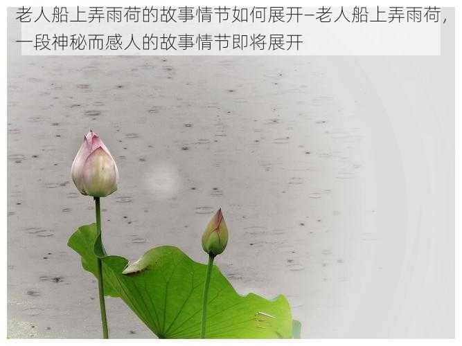 老人船上弄雨荷的故事情节如何展开—老人船上弄雨荷，一段神秘而感人的故事情节即将展开