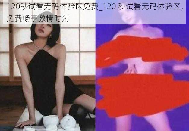 120秒试看无码体验区免费_120 秒试看无码体验区，免费畅享激情时刻