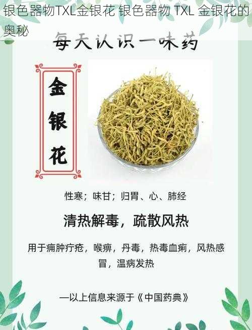 银色器物TXL金银花 银色器物 TXL 金银花的奥秘