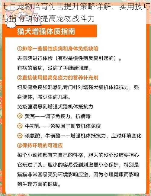 七国宠物培育伤害提升策略详解：实用技巧与指南助你提高宠物战斗力