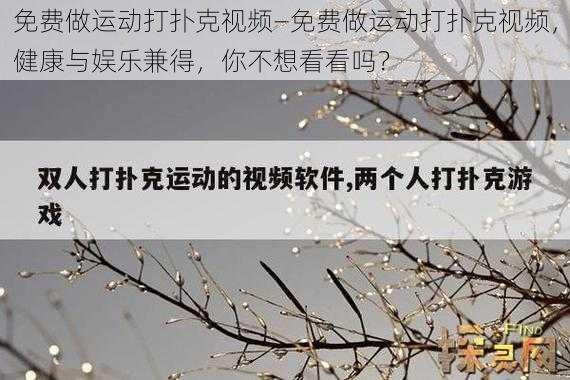 免费做运动打扑克视频—免费做运动打扑克视频，健康与娱乐兼得，你不想看看吗？