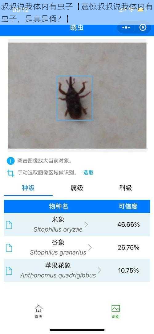 叔叔说我体内有虫子【震惊叔叔说我体内有虫子，是真是假？】