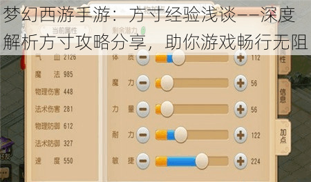 梦幻西游手游：方寸经验浅谈——深度解析方寸攻略分享，助你游戏畅行无阻