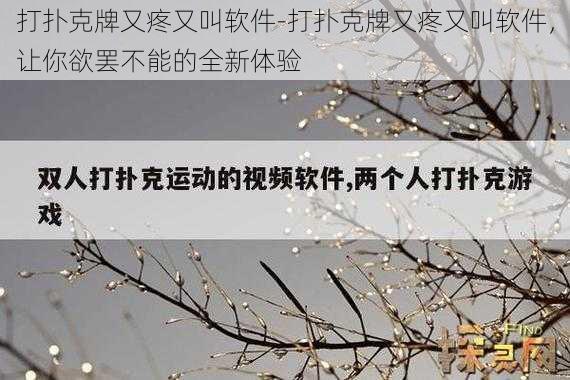 打扑克牌又疼又叫软件-打扑克牌又疼又叫软件，让你欲罢不能的全新体验