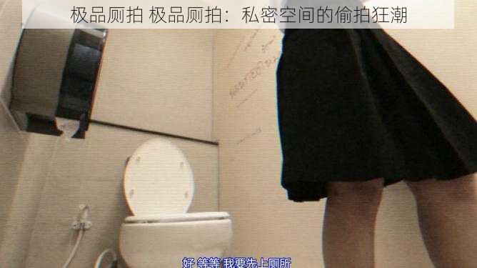 极品厕拍 极品厕拍：私密空间的偷拍狂潮