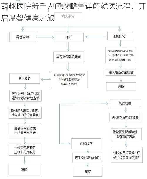 萌趣医院新手入门攻略：详解就医流程，开启温馨健康之旅