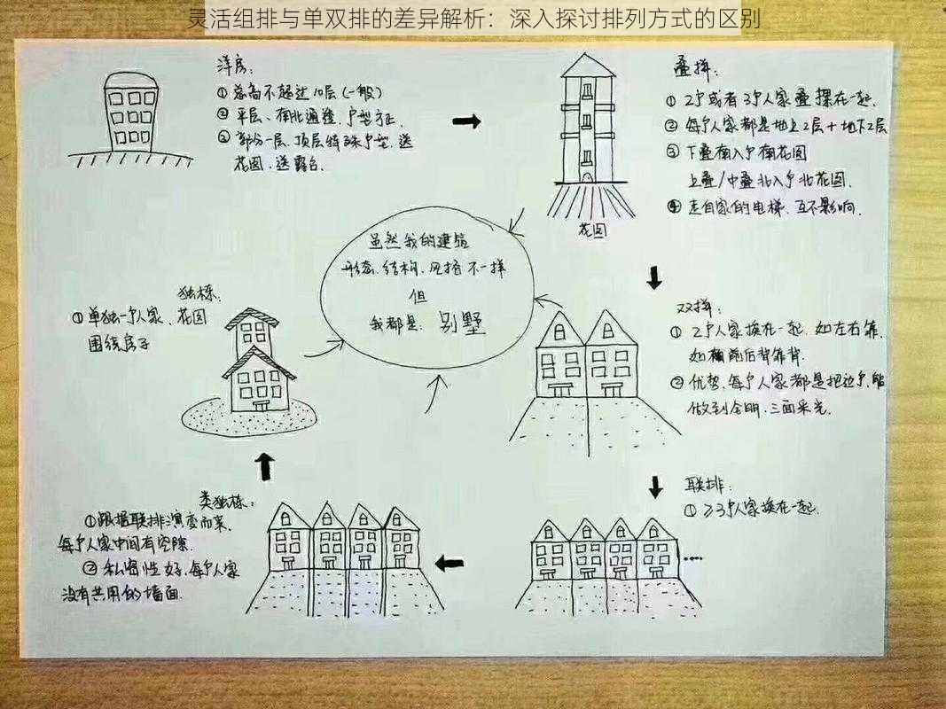 灵活组排与单双排的差异解析：深入探讨排列方式的区别