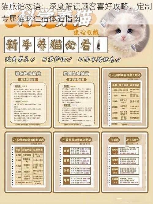 猫旅馆物语：深度解读顾客喜好攻略，定制专属猫咪住宿体验指南