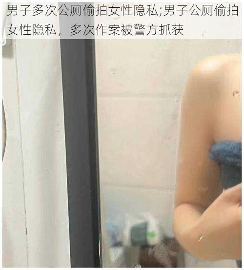 男子多次公厕偷拍女性隐私;男子公厕偷拍女性隐私，多次作案被警方抓获