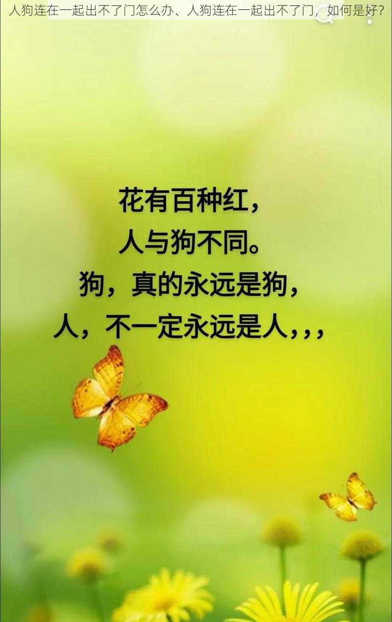 人狗连在一起出不了门怎么办、人狗连在一起出不了门，如何是好？